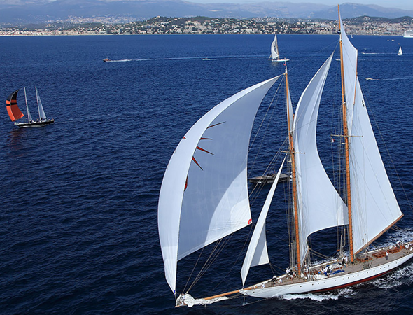 Régates Les Voiles de Saint Tropez