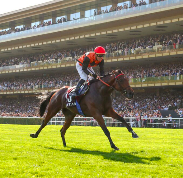 Prix de l'Arc de Triomphe Hippodrome de ParisLongchamp